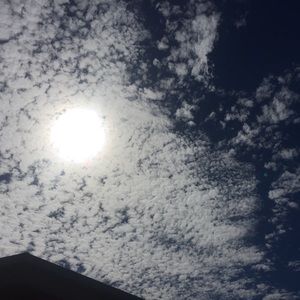 Meet your Posher, Ankita